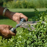 Barosta Hoveniers | Tuinonderhoud Barosta Hoveniers | Tuinonderhoud